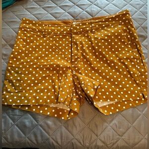 Old Navy Brown Polka Dot Shorts Size 8 High Rise Casual Summer